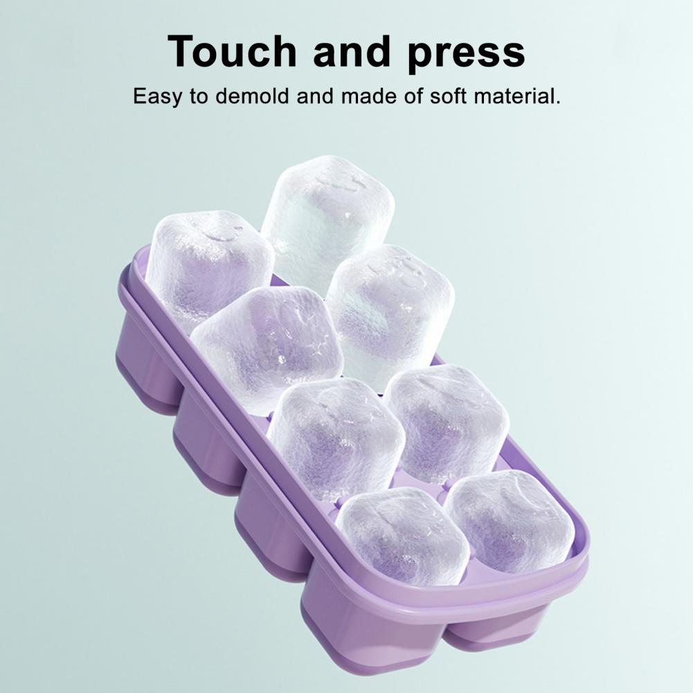 IJsvorm voor verschillende dra - Baby Food Storage recensie en prijs