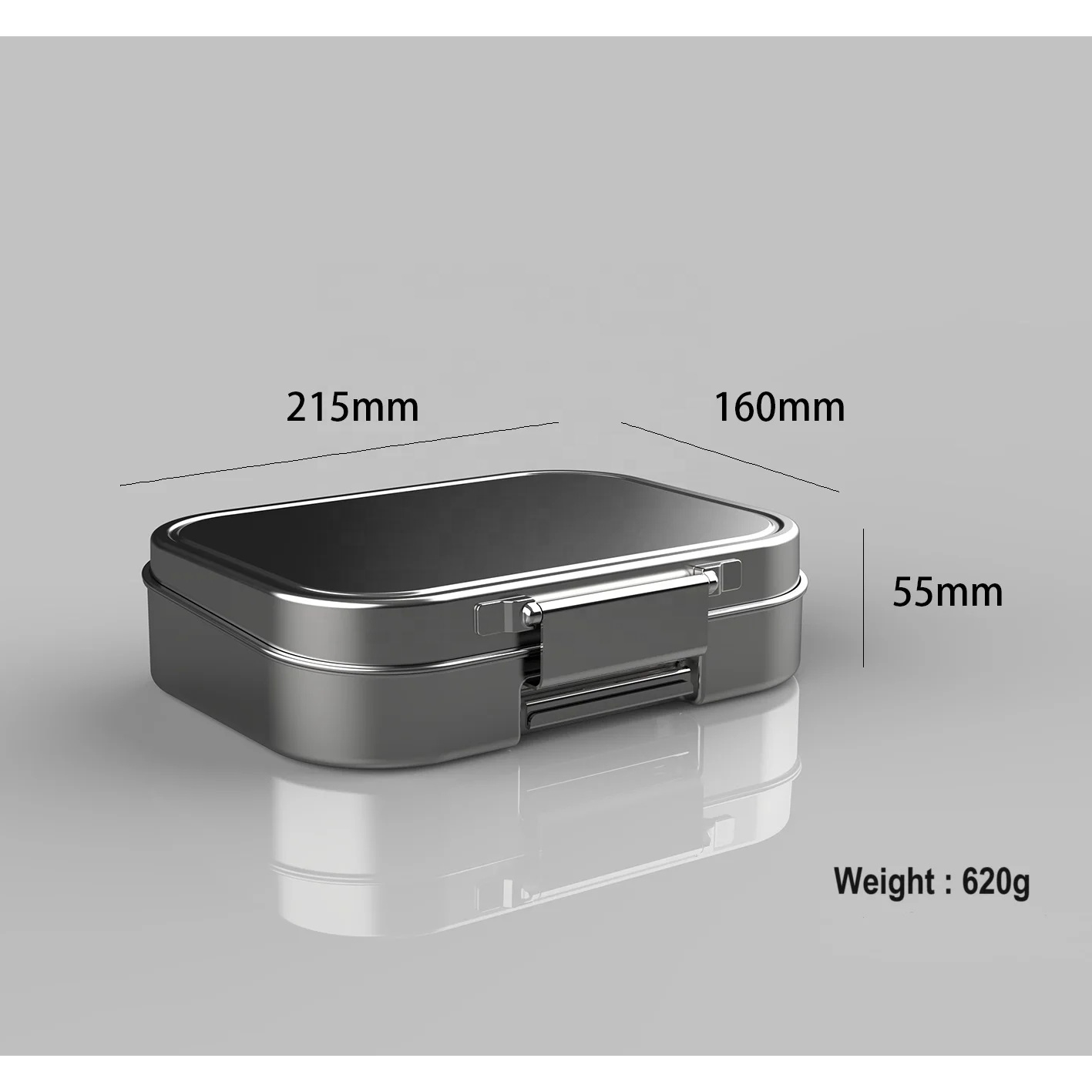 304 medium roestvrijstalen, ve - Snack Container Travel recensie en prijs
