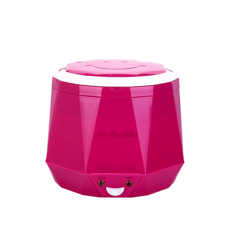 DC12V/DC24V/AC220V 100 W POWER - Baby Rice Food recensie en prijs